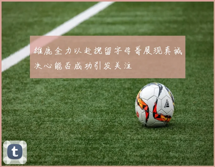 雄鹿全力以赴挽留字母哥展现真诚决心能否成功引发关注
