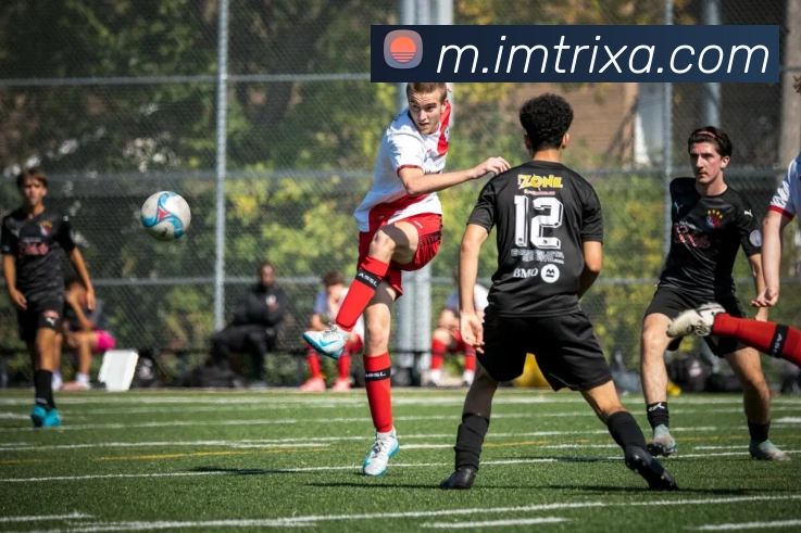 IM体育APP 体育赛事宣传图